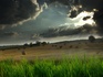 dia_nublado_1024x768-425085.jpeg